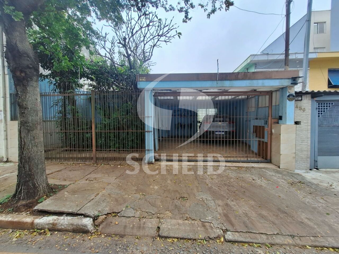 Foto 7