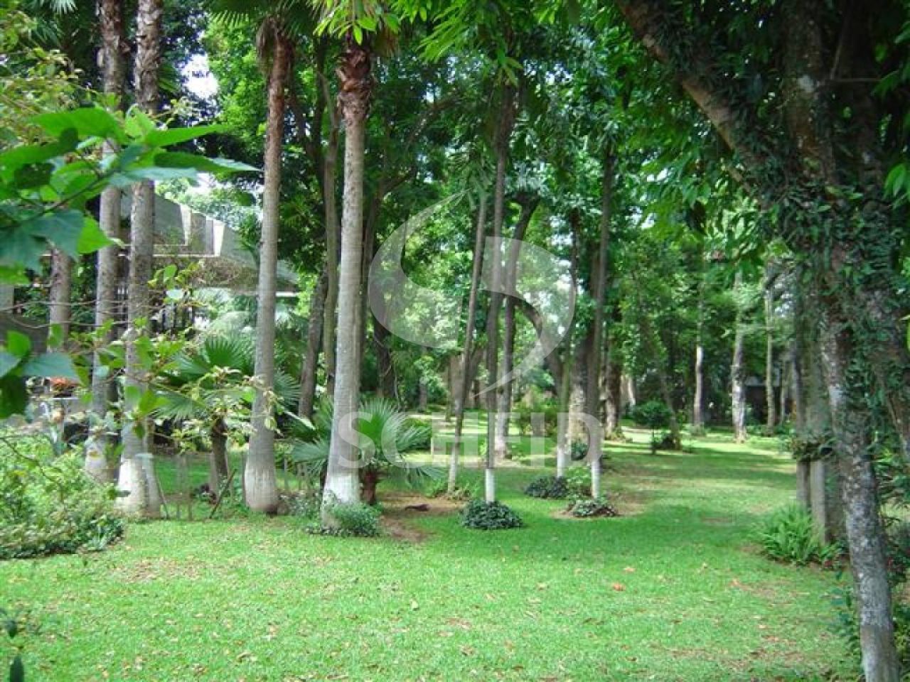 Foto 19