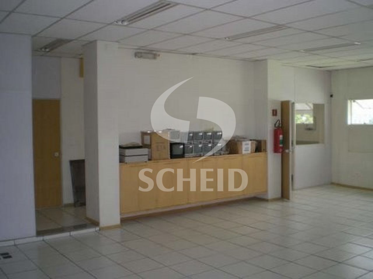 Foto 19