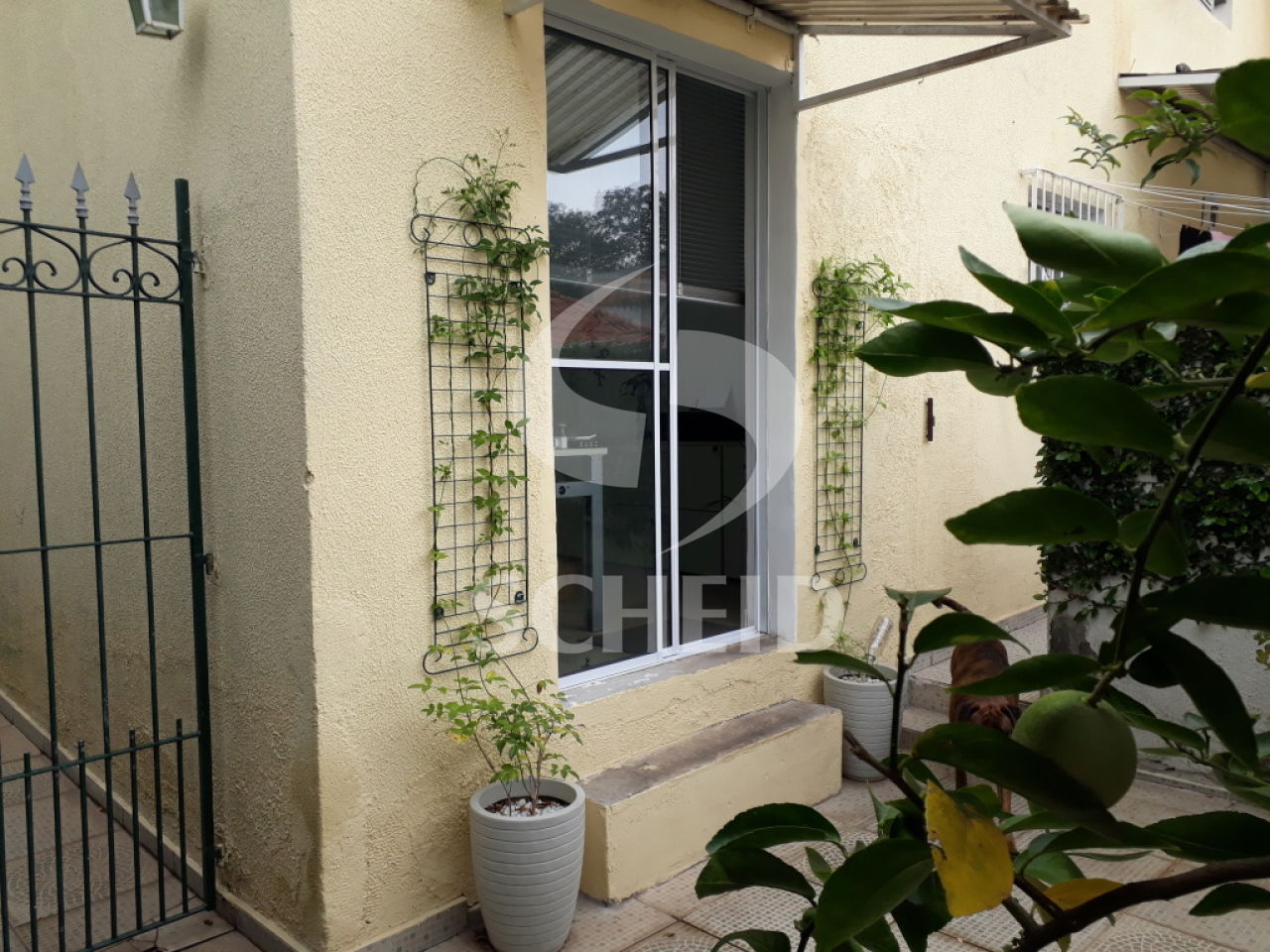 Foto 21