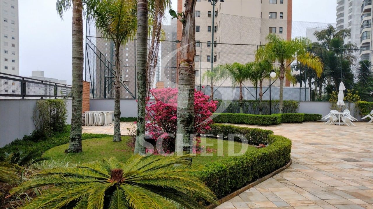 Foto 23