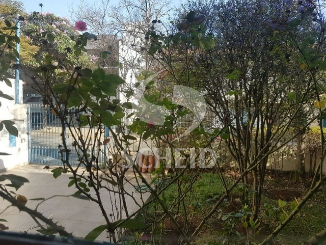 Foto 24