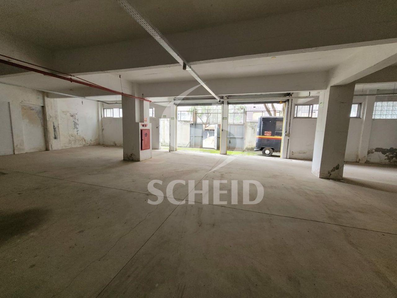 Foto 6