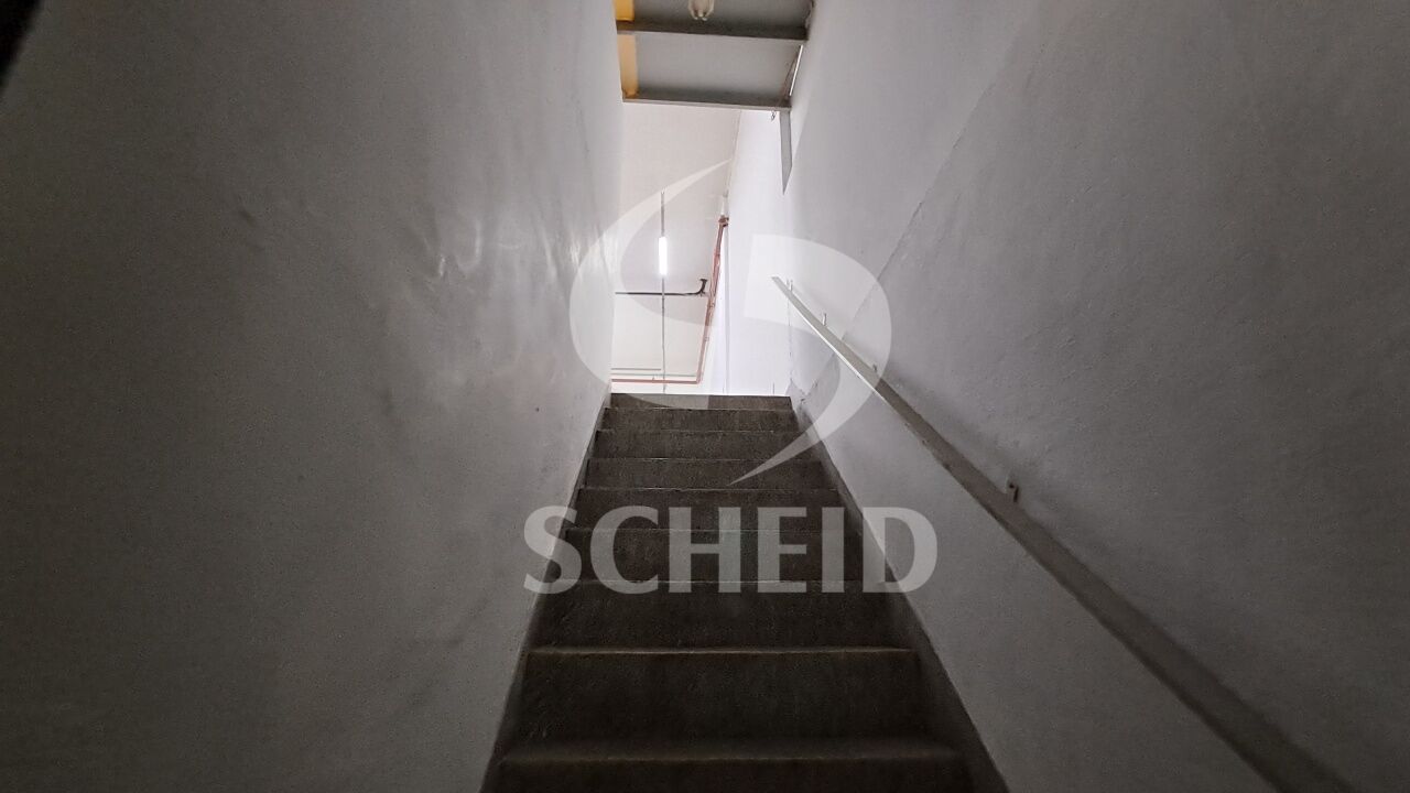 Foto 41