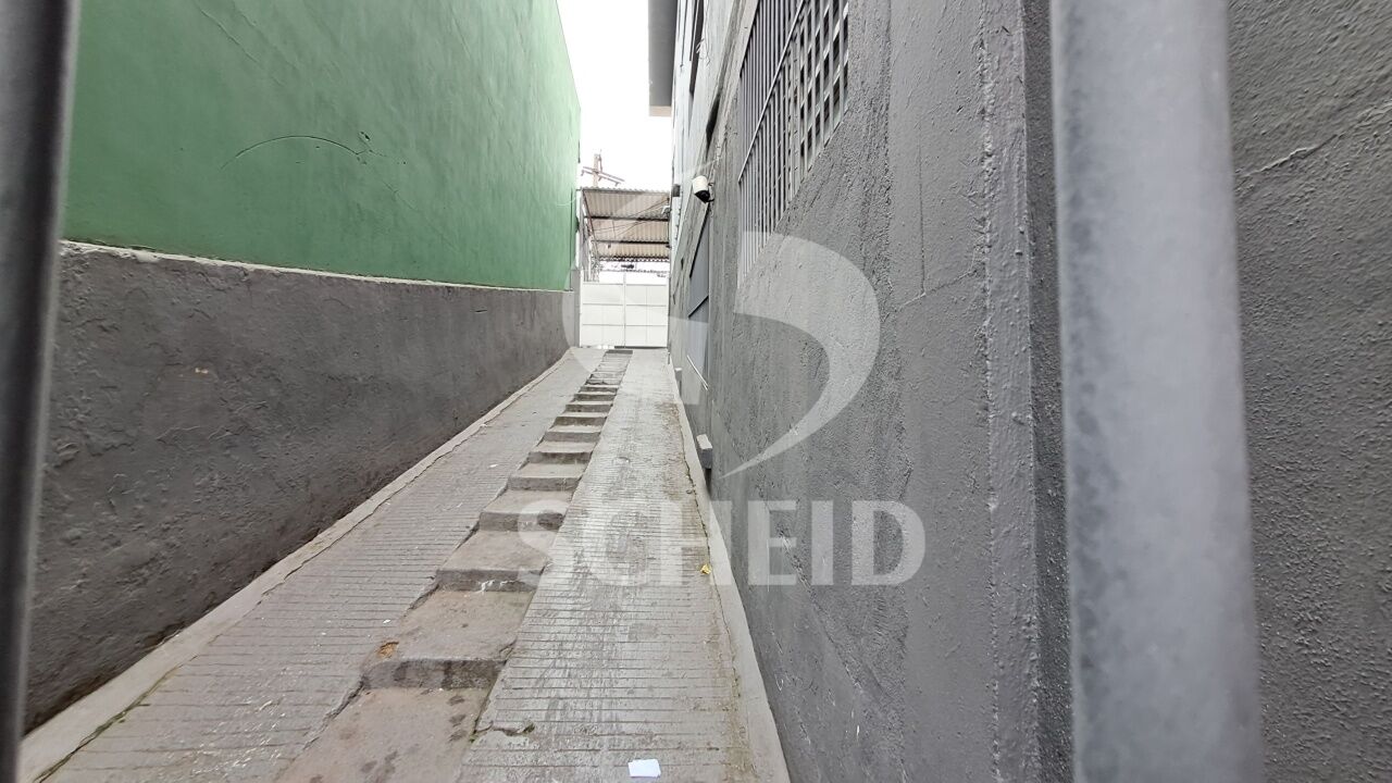 Foto 42
