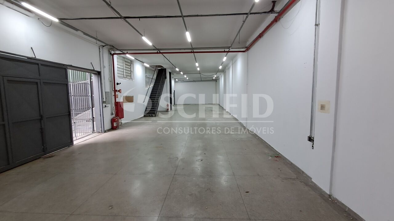 Foto 19