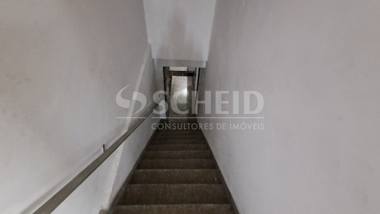 Foto 24