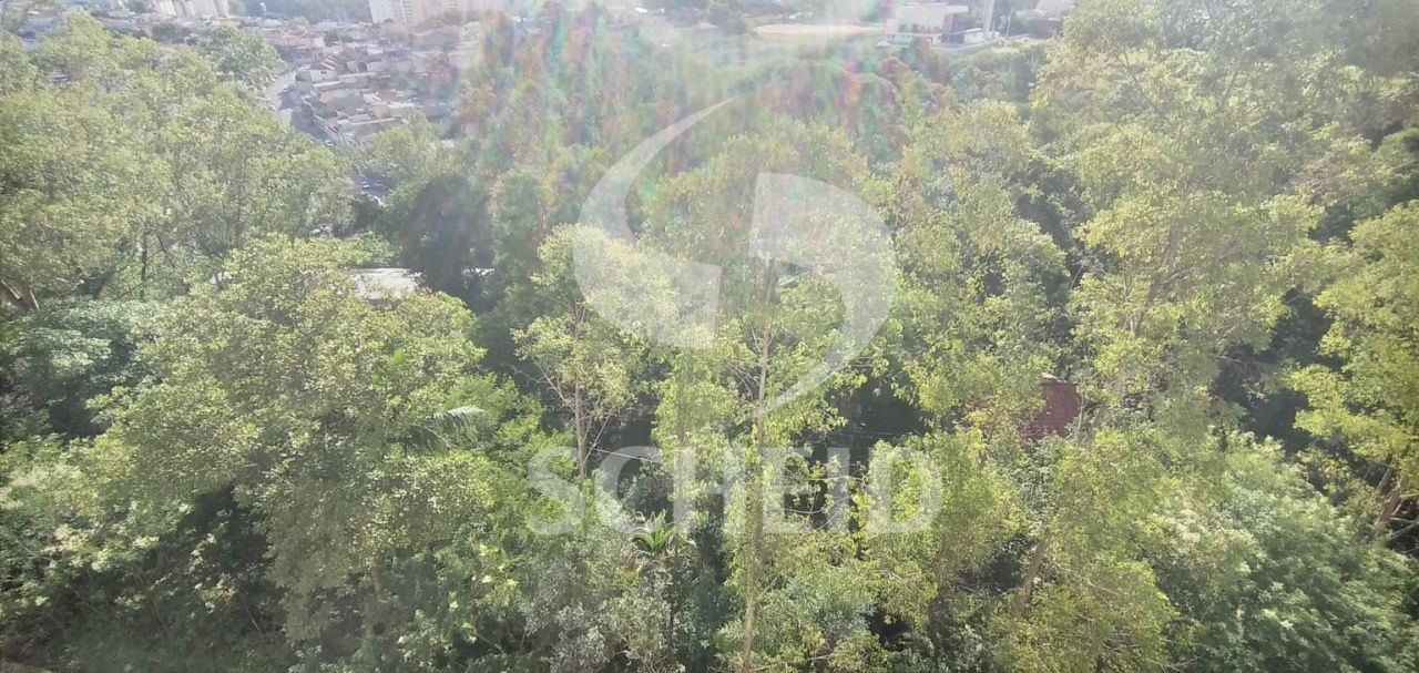 Foto 38