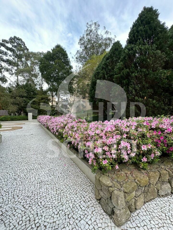 Foto 36