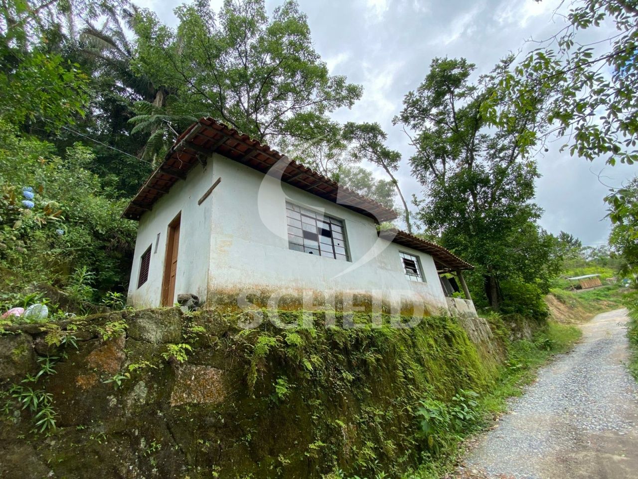 Foto 15