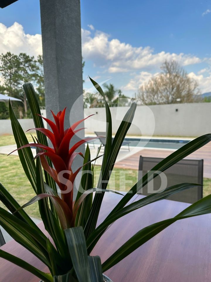 Foto 24