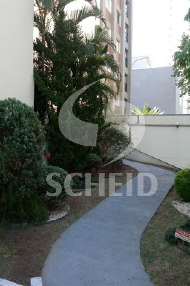 Foto 20
