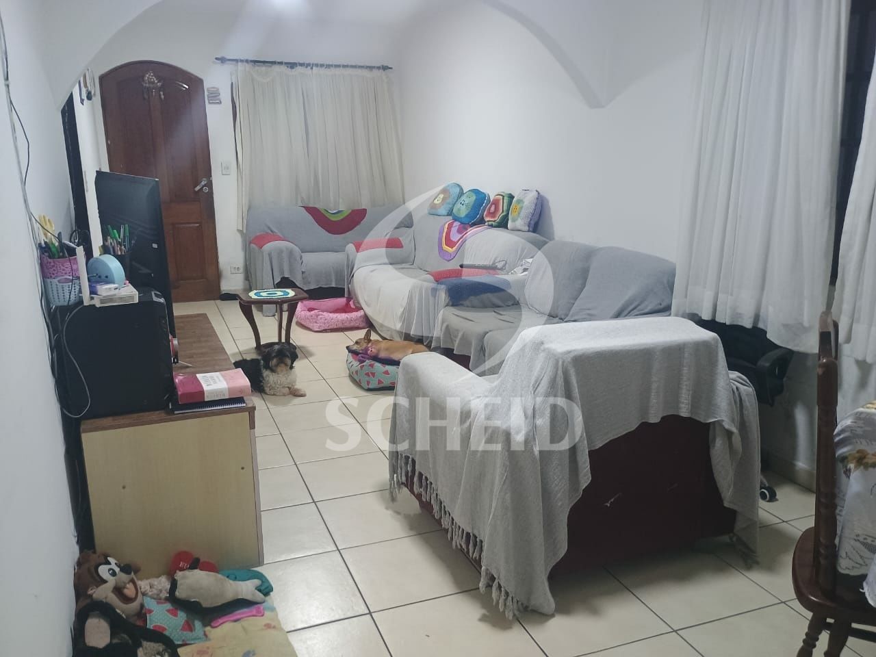 Foto 5