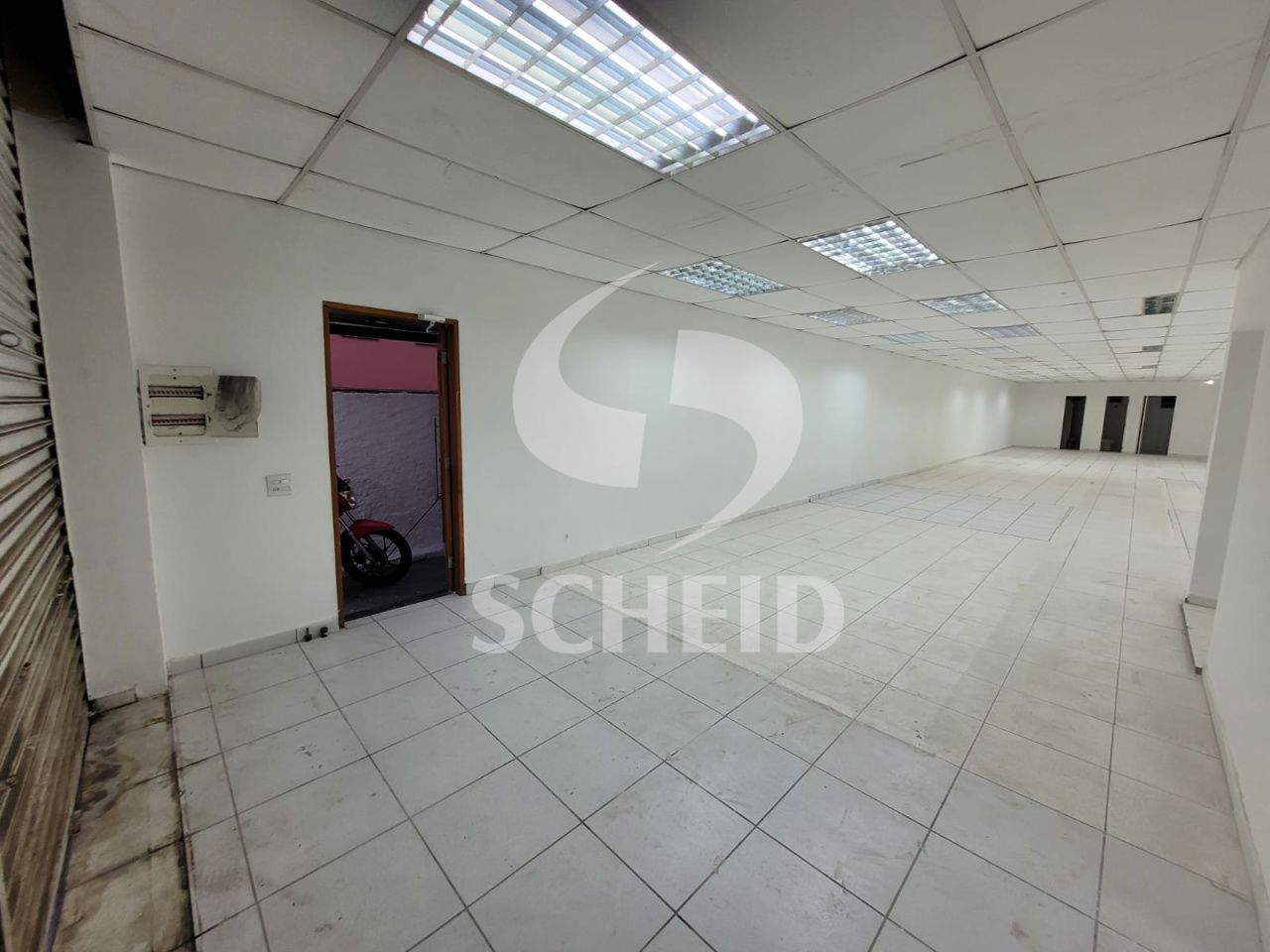 Foto 19