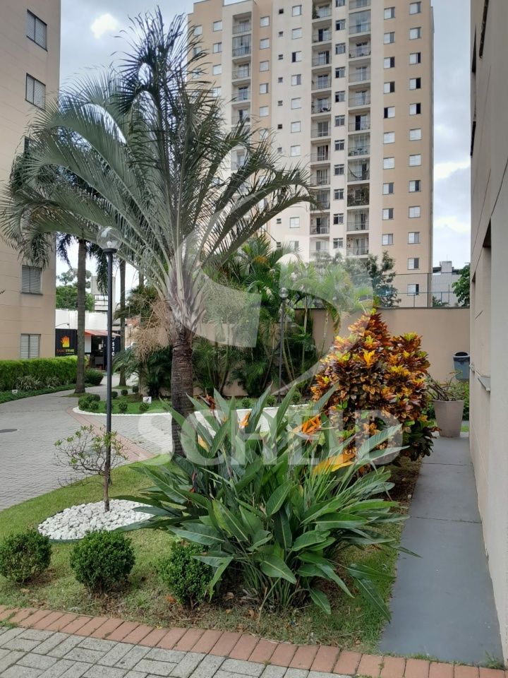 Foto 20