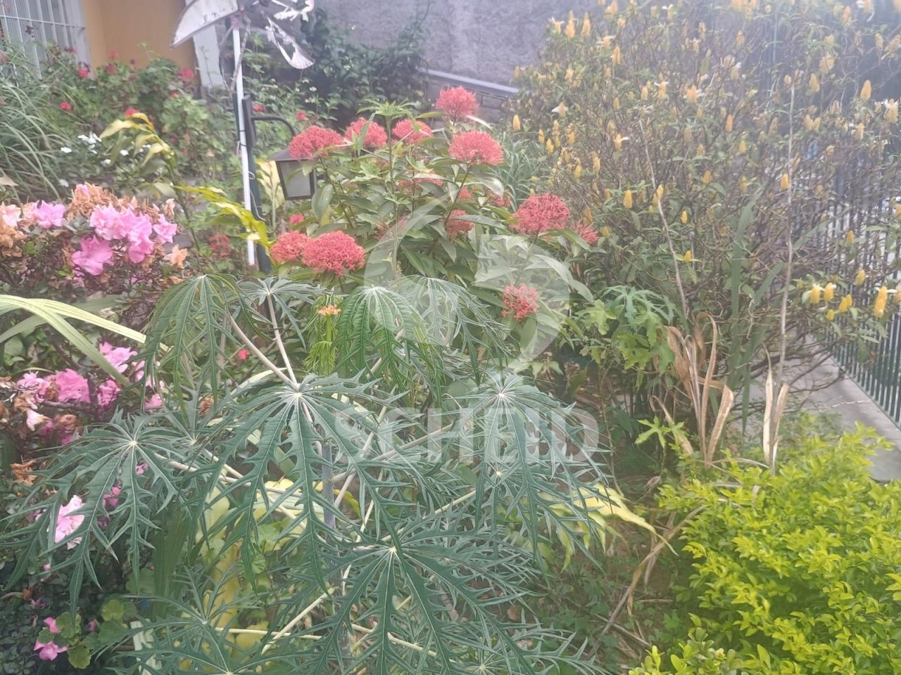 Foto 6