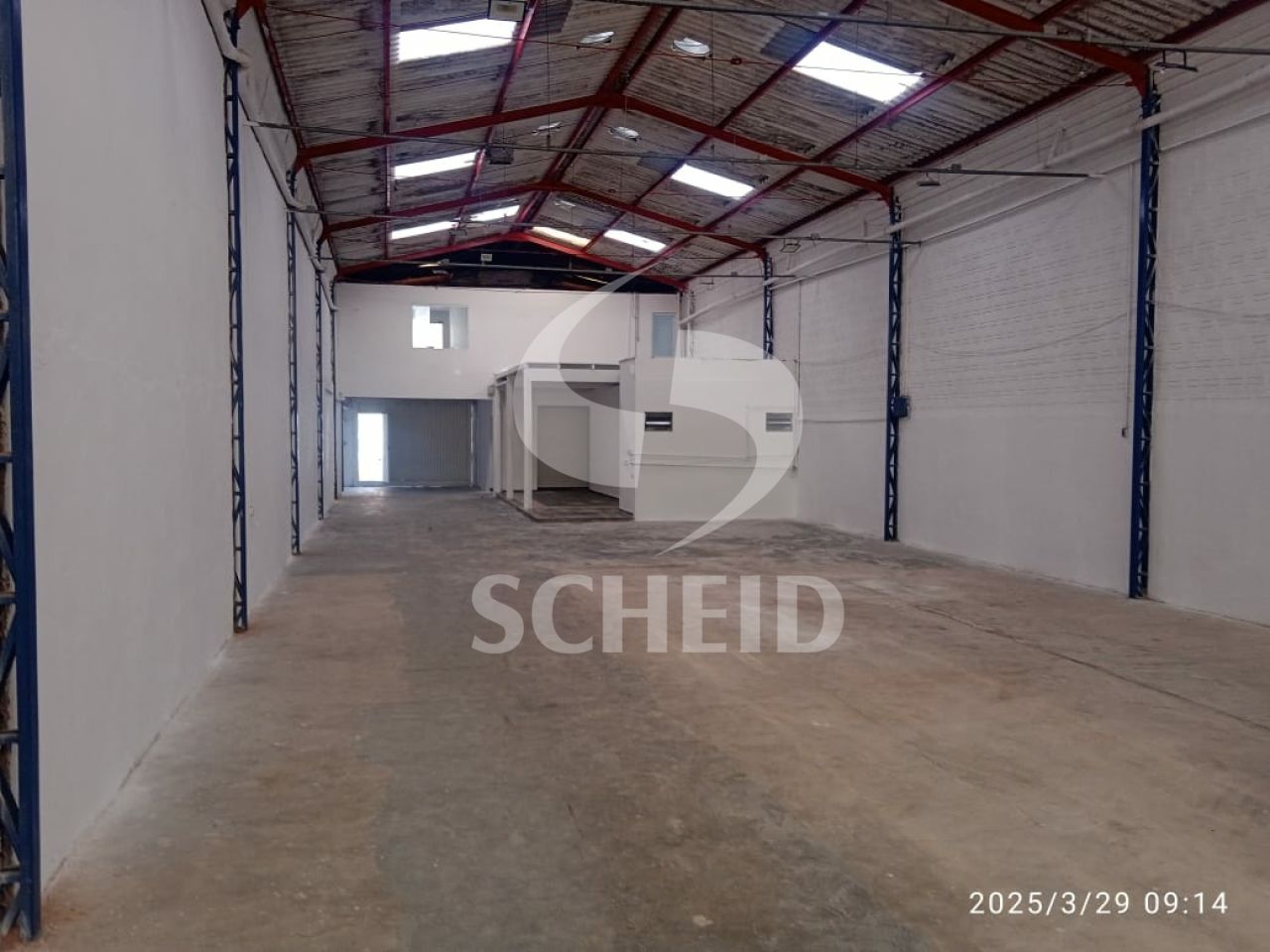 Foto 7