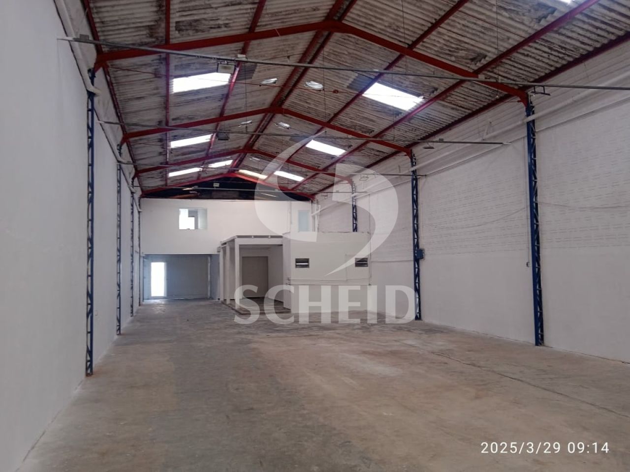Foto 5
