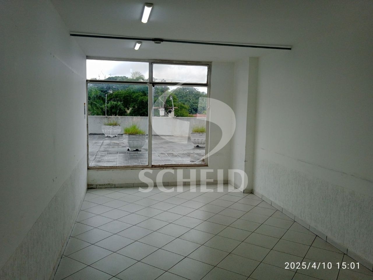 Foto 41
