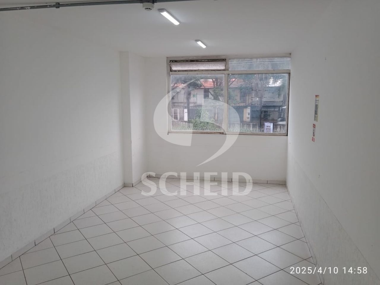 Foto 41