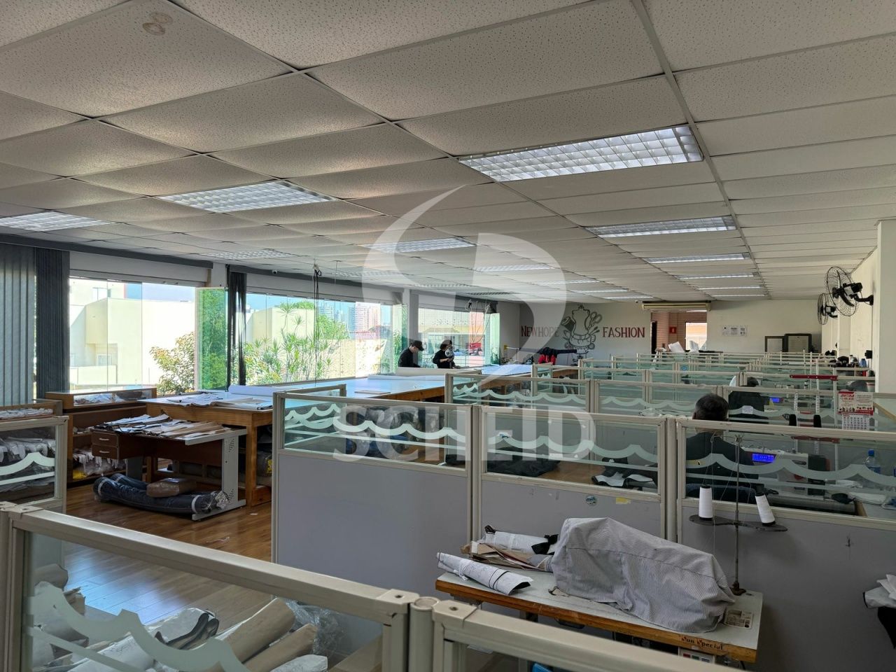 Foto 15