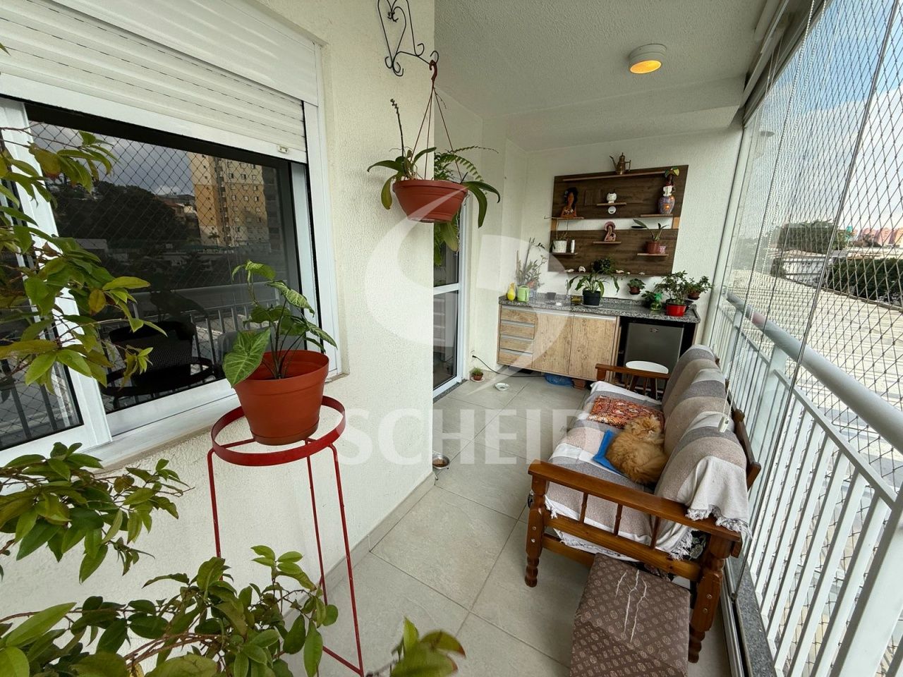 Foto 6