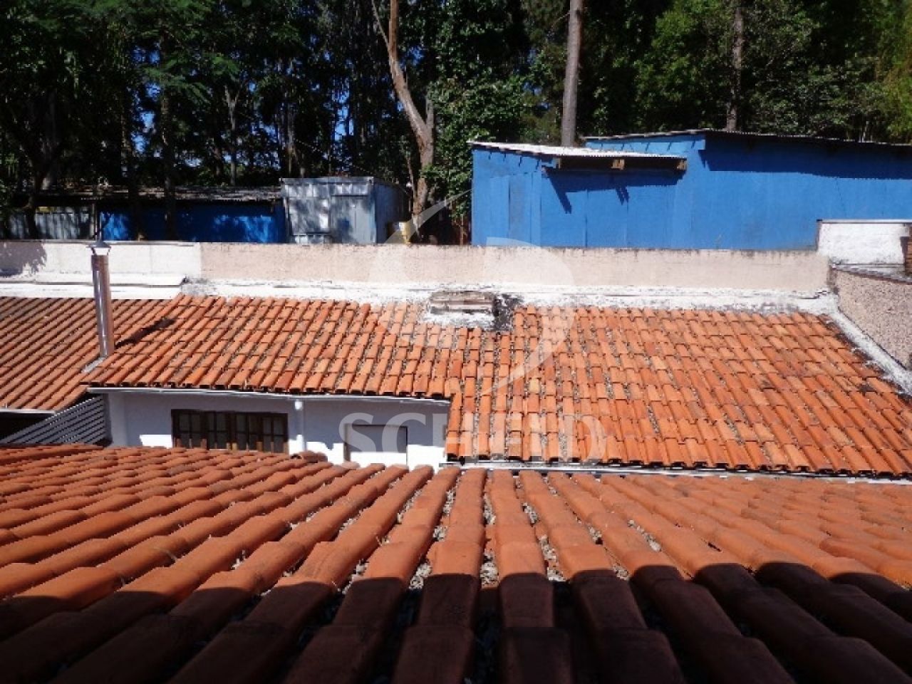 Foto 30