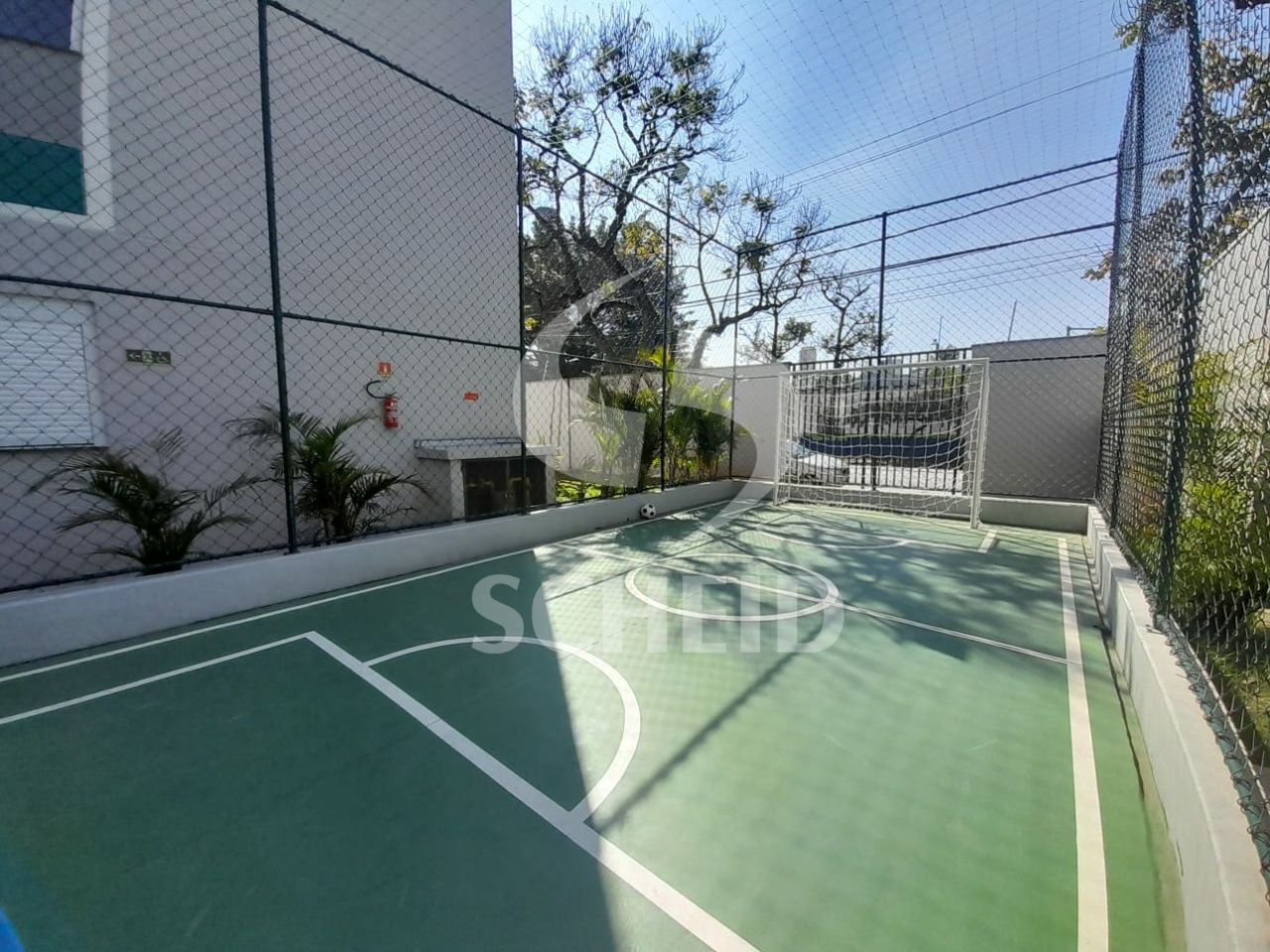Foto 6