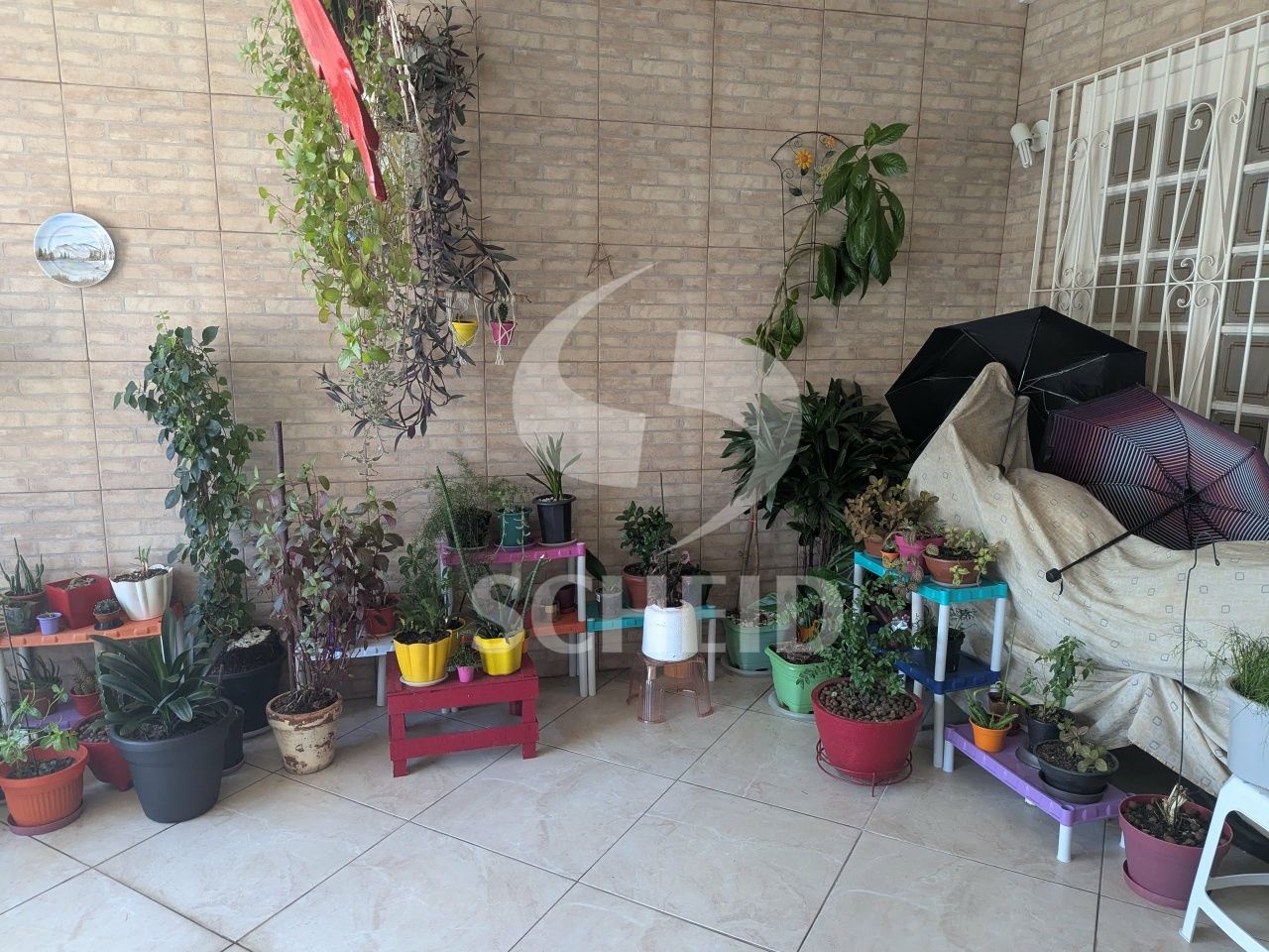Foto 39