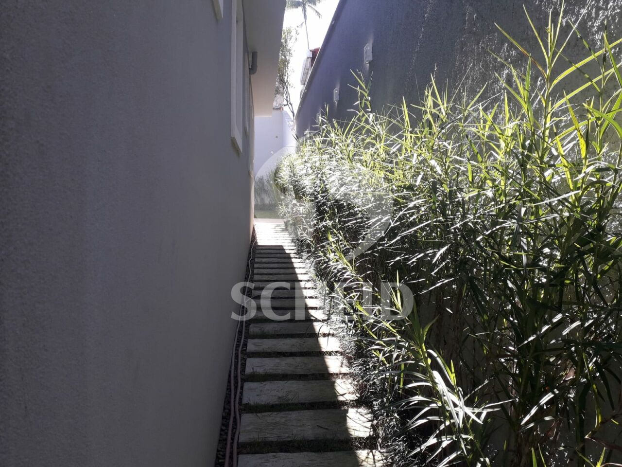 Foto 21