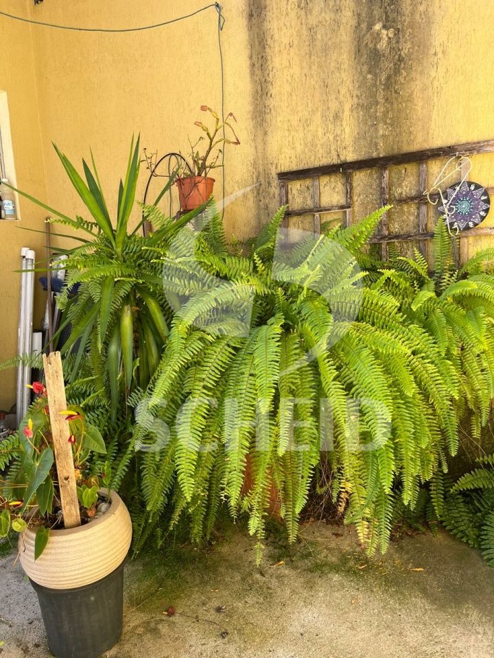 Foto 36