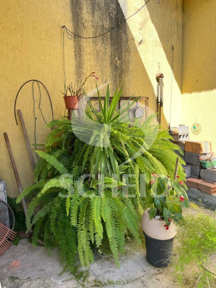Foto 34
