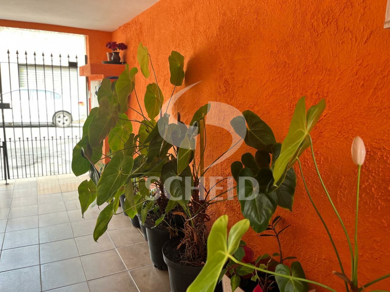 Foto 45