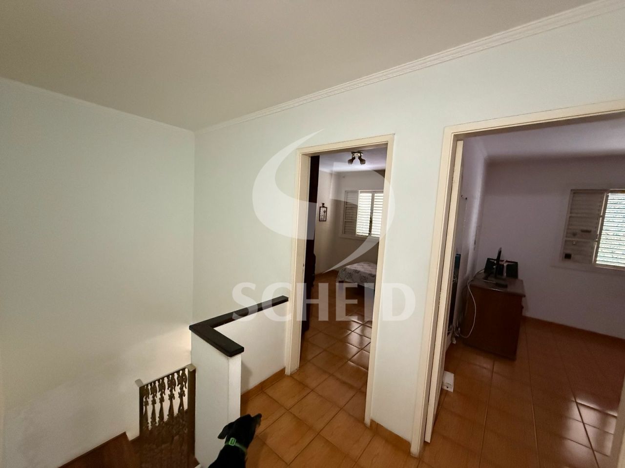 Foto 19