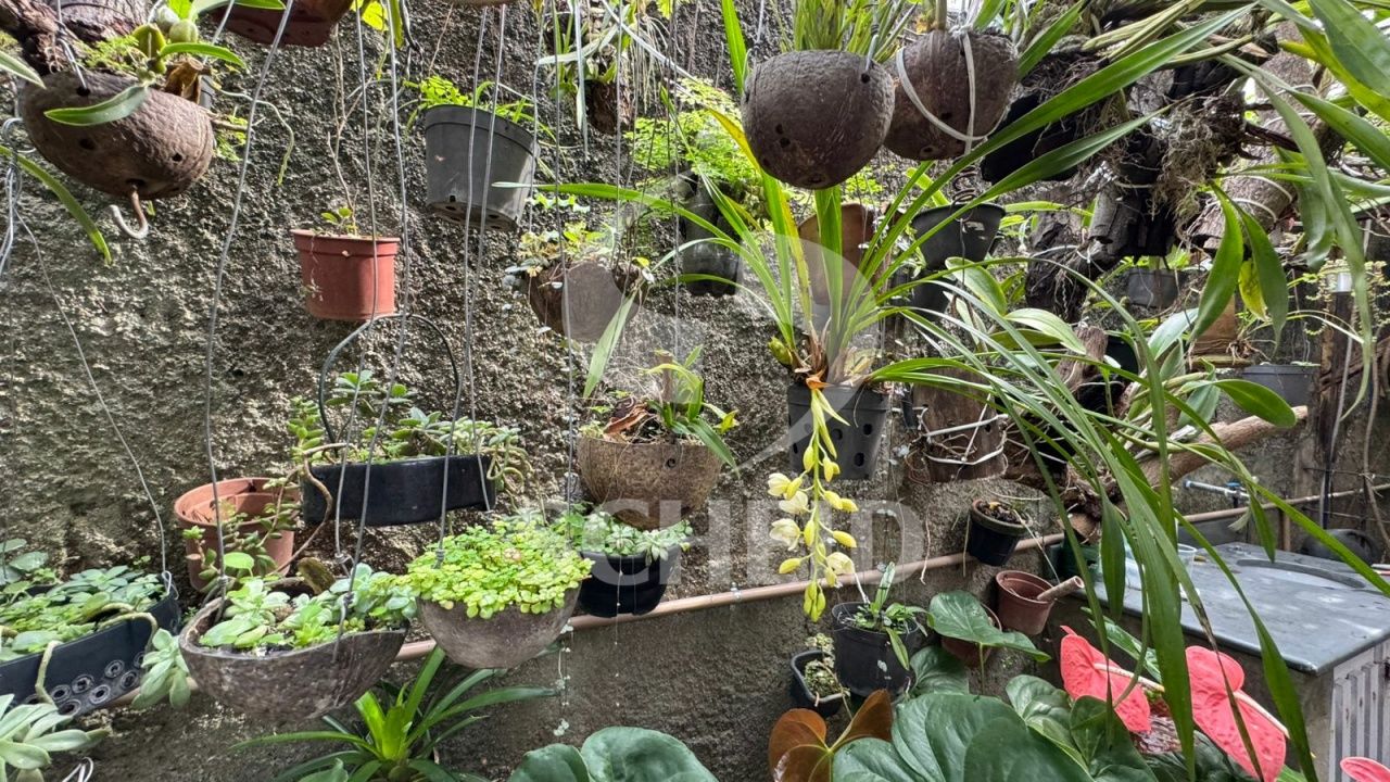 Foto 45