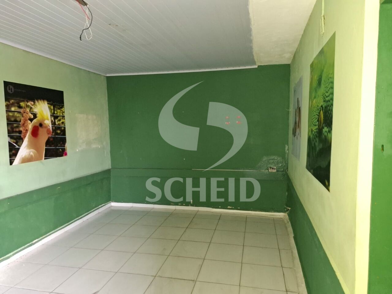 Foto 16