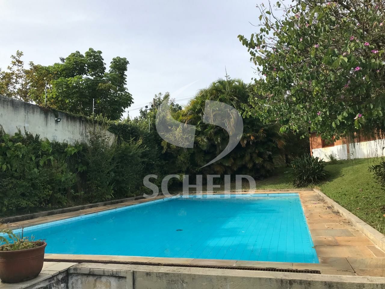 Foto 41