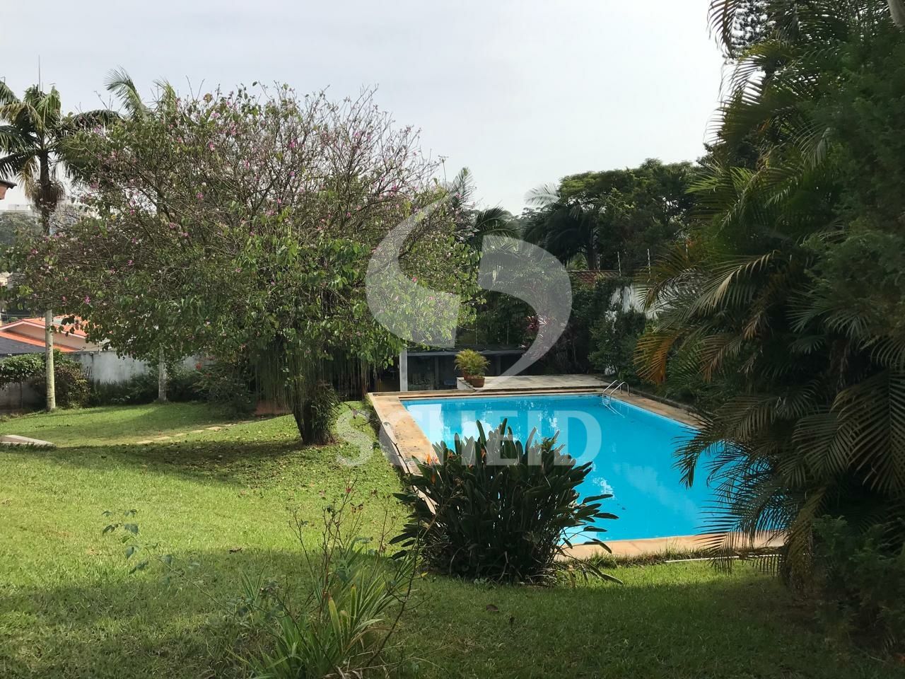 Foto 42