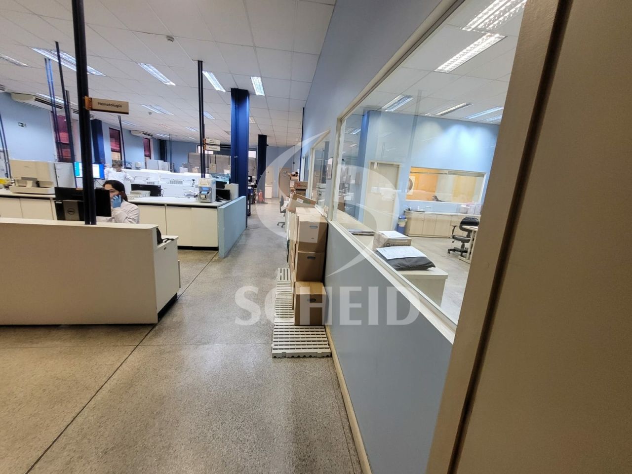 Foto 24