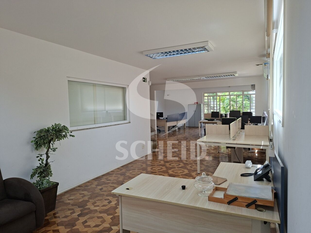 Foto 1