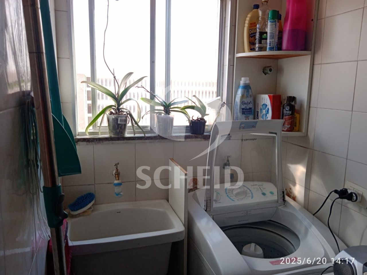 Foto 12