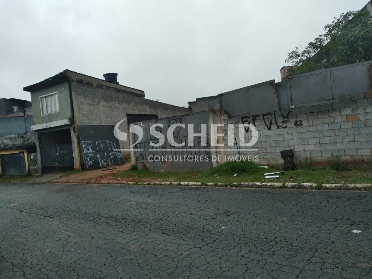 Foto 1