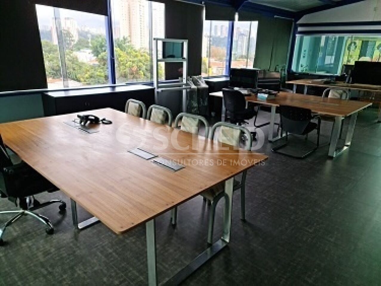 Foto 11