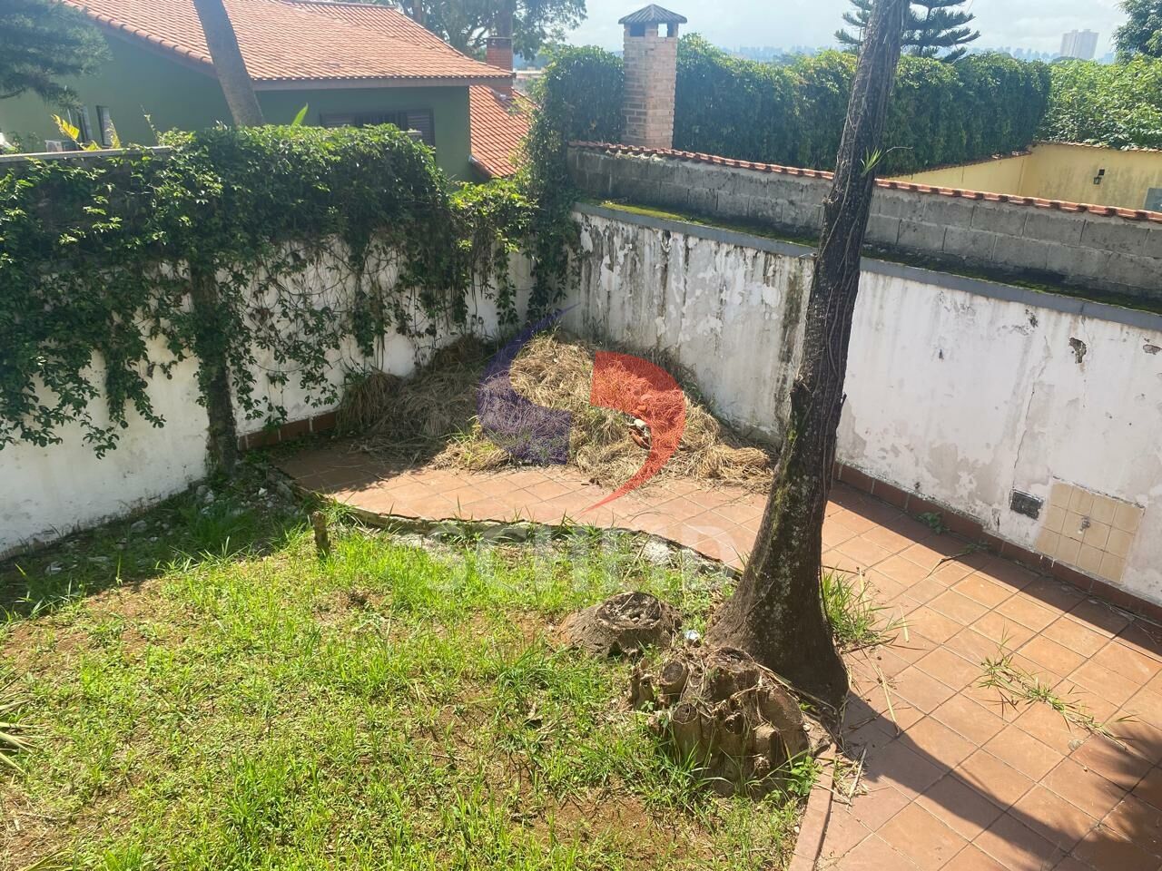 Foto 39