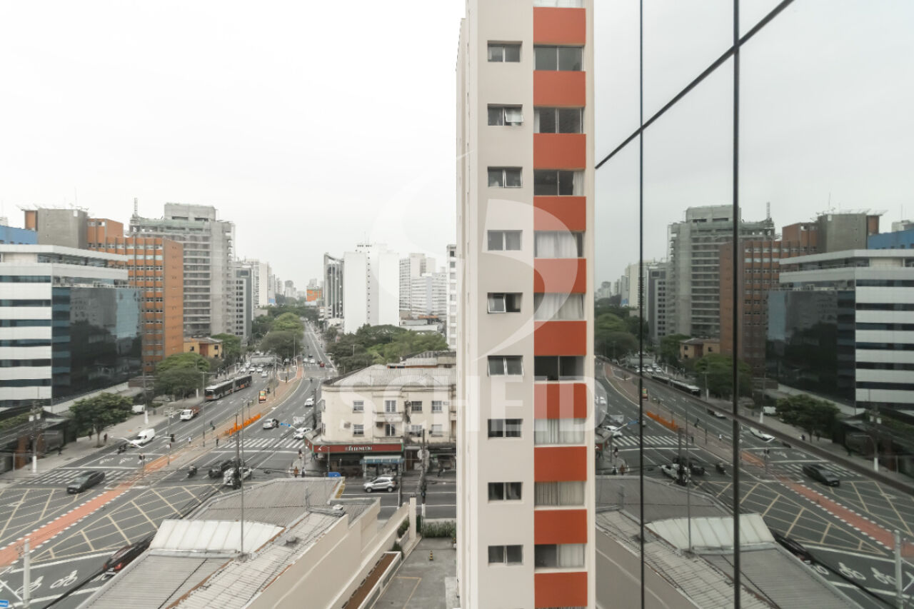 Foto 15