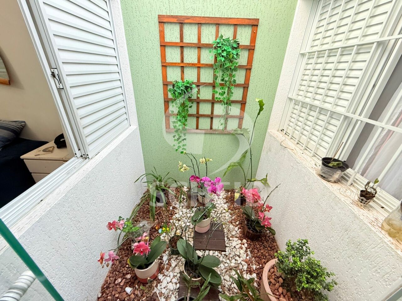 Foto 20