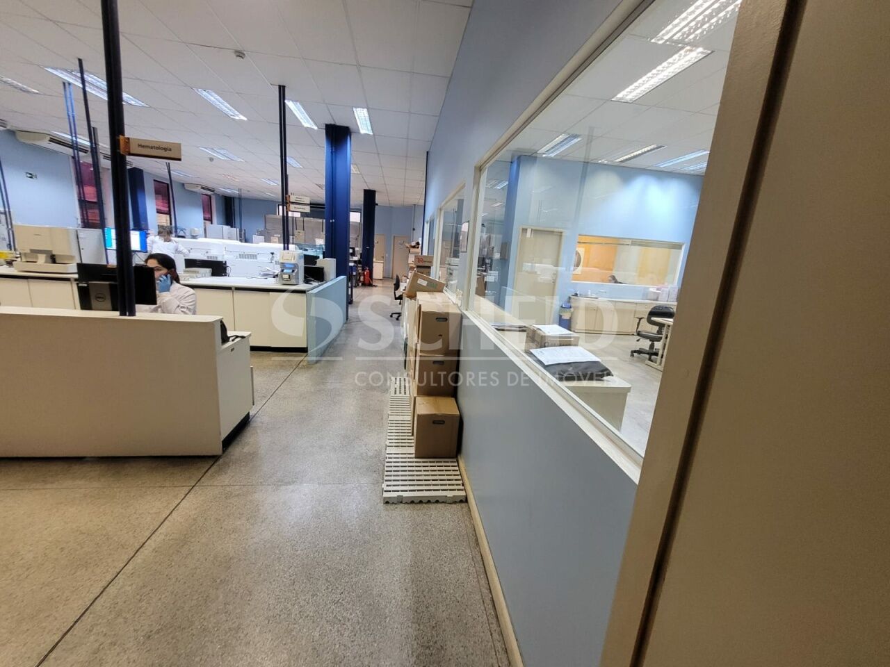 Foto 24