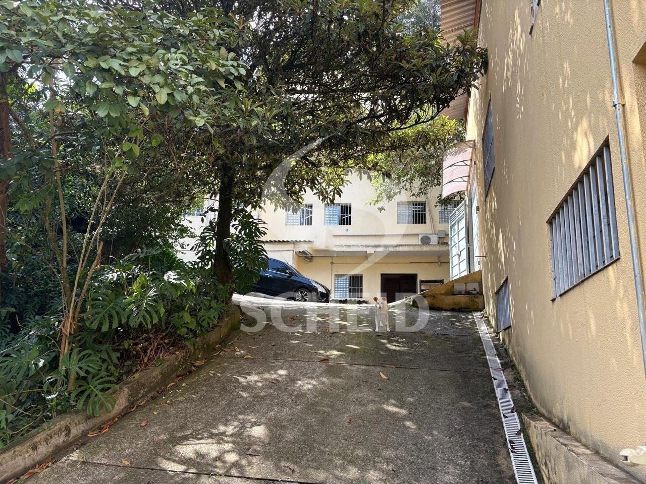 Foto 19