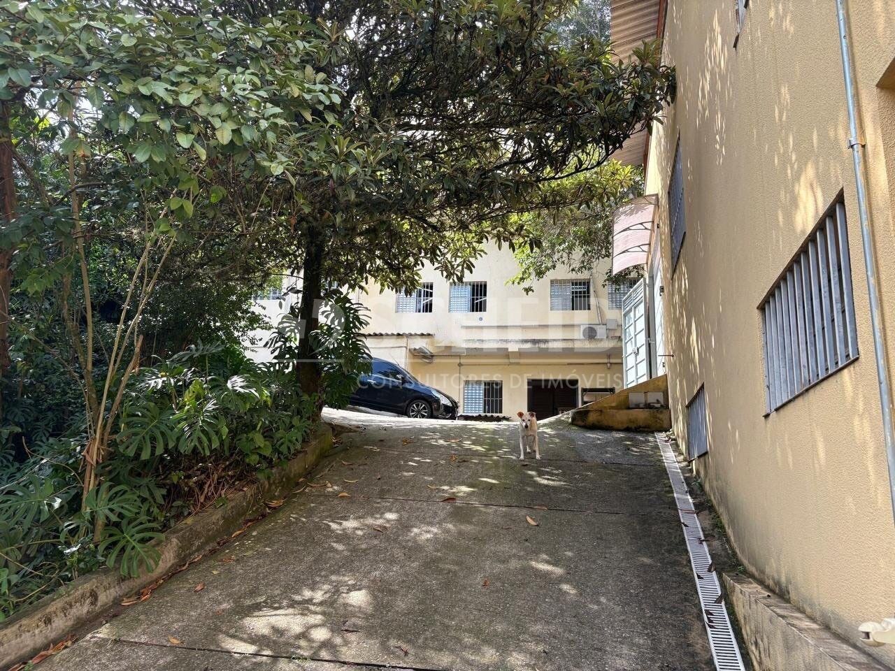 Foto 19