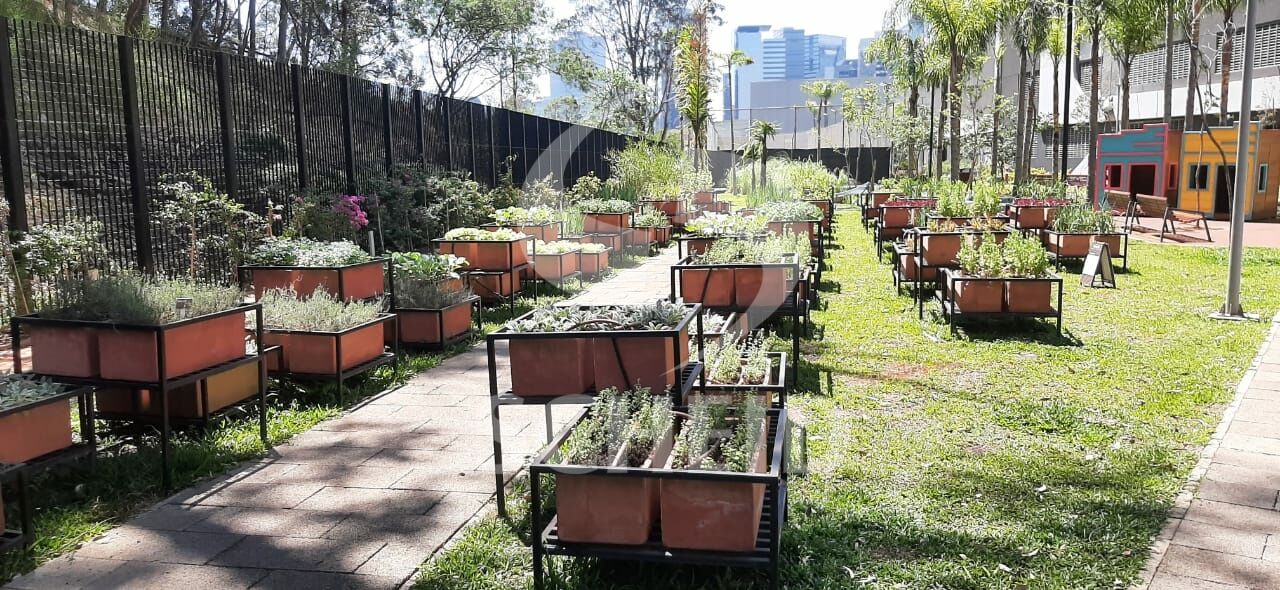 Foto 13
